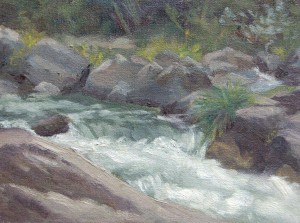 Sauvie Island Summer